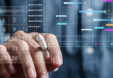 ERP Project Management Dublin